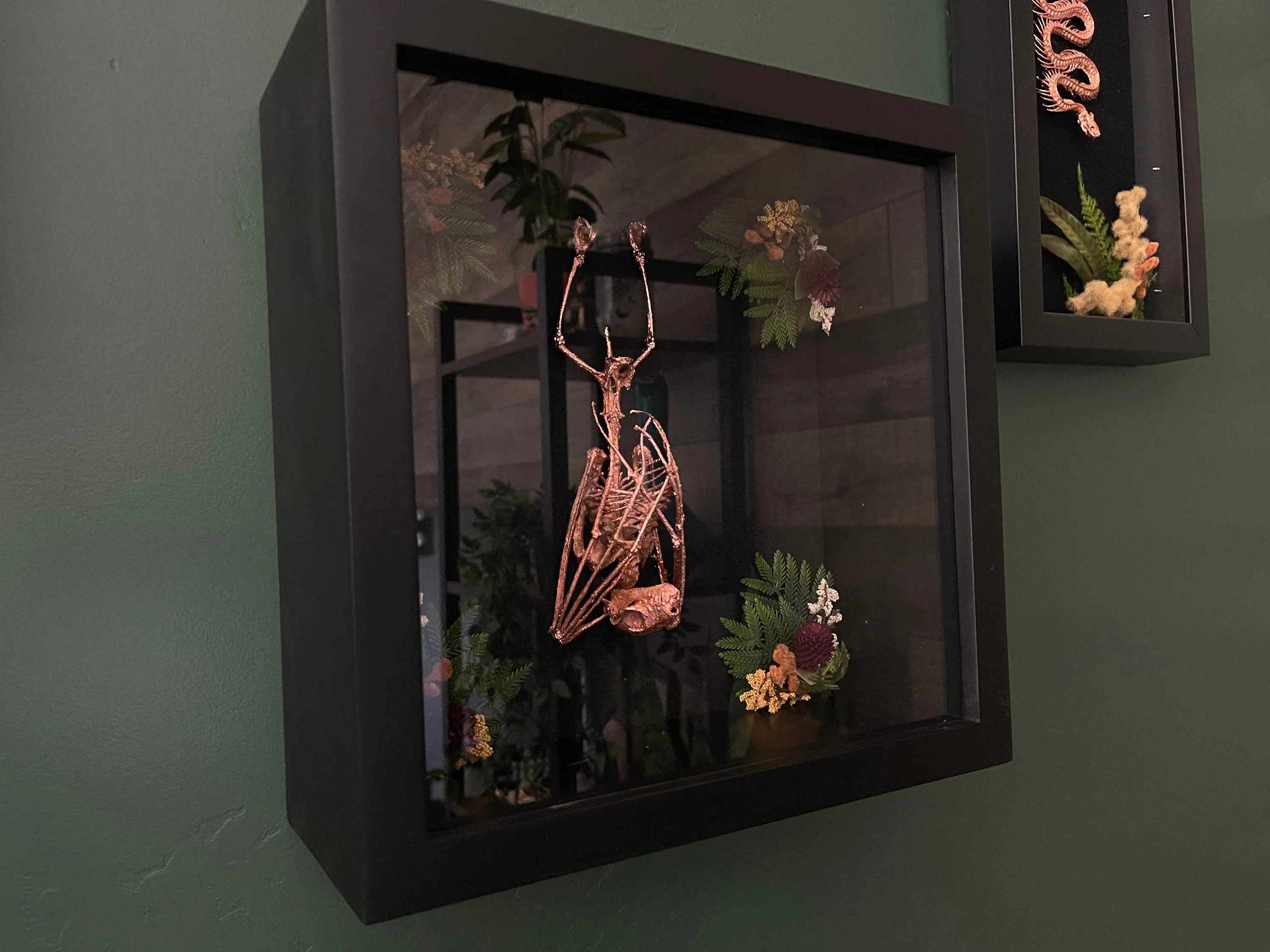 Bat oddity shadow box