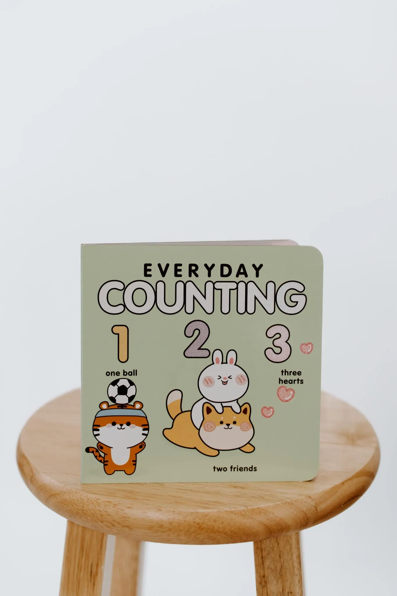 Everyday Counting Numbers Book